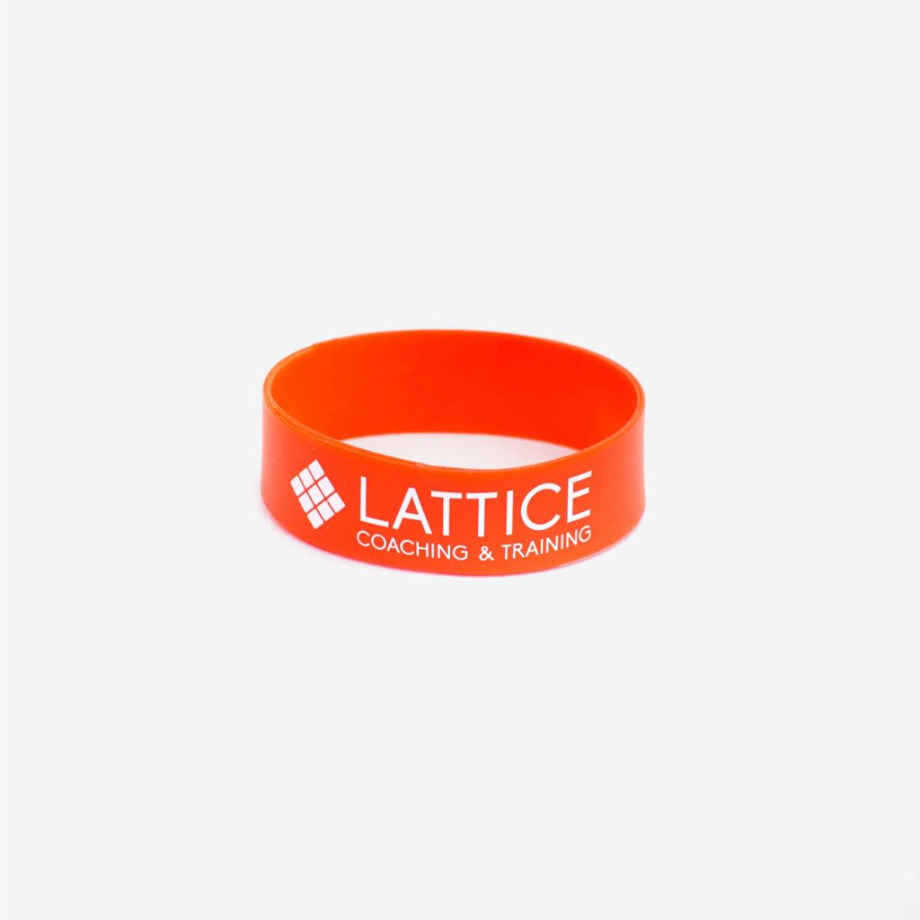 Extensor Bands - Träningsband från Lattice Training